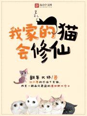 我家的猫会修仙封面