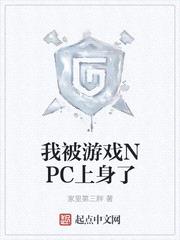 我被游戏NPC上身了封面